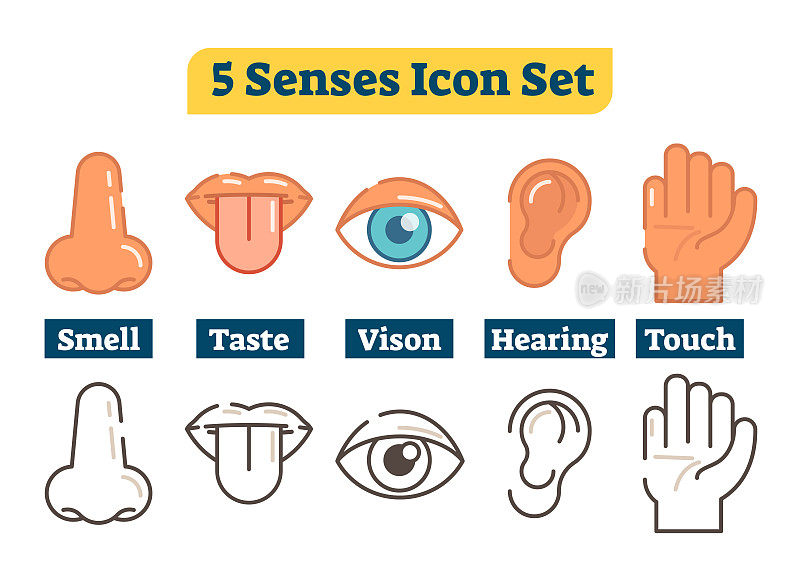 Five human body senses vector icons